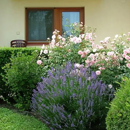 Couette-café Vorosko Panzio Es Etterem Balatonalmádi